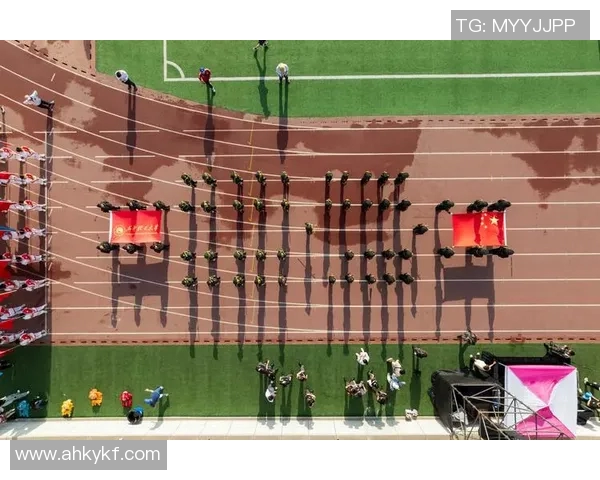 陈磊排球生涯回顾与展望对话分享运动员成长与挑战